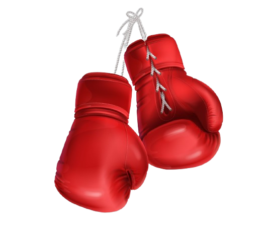 MMA boxing gloves icon